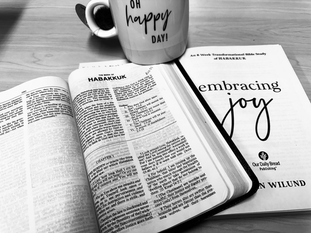 Embracing Joy: Seeing&nbsp;Rightly