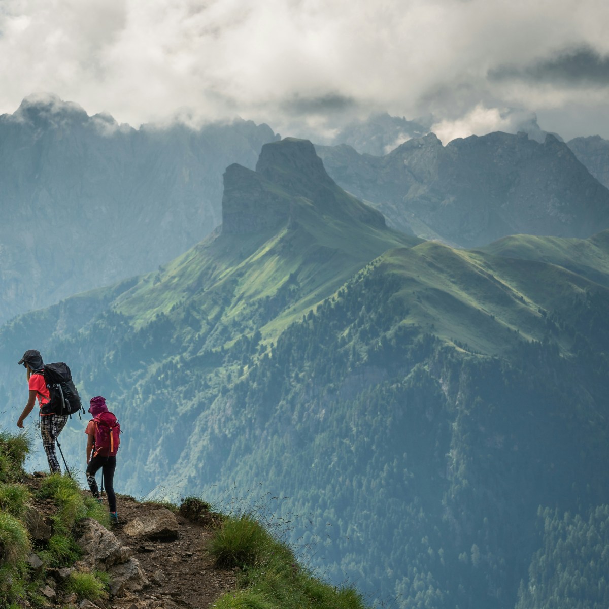 The Journey Continues…