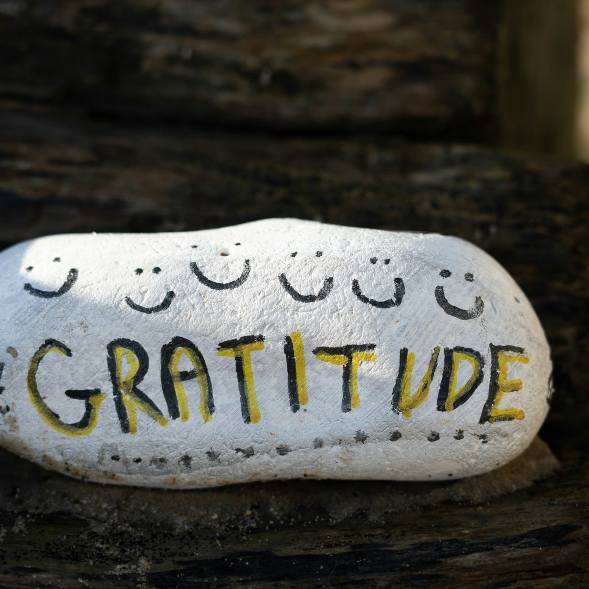 Gratitude Continues…